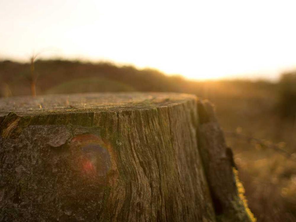 Big Boost coming together nicely. 2JZ-GTE making about 600whp on E85. #supra #2jz #mkiv #toyota #jdm