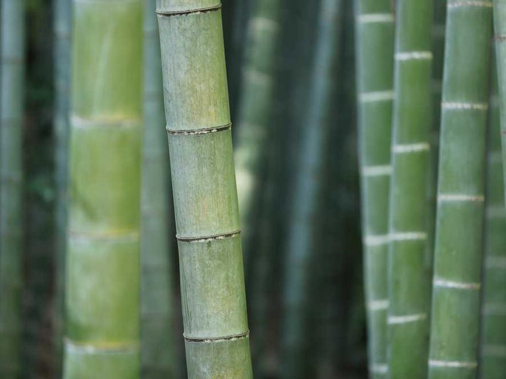 Stage 3 Golf R putting down serious numbers. AWD launch control is addicting. #golfr #vw #mk75 #hothatch #euro