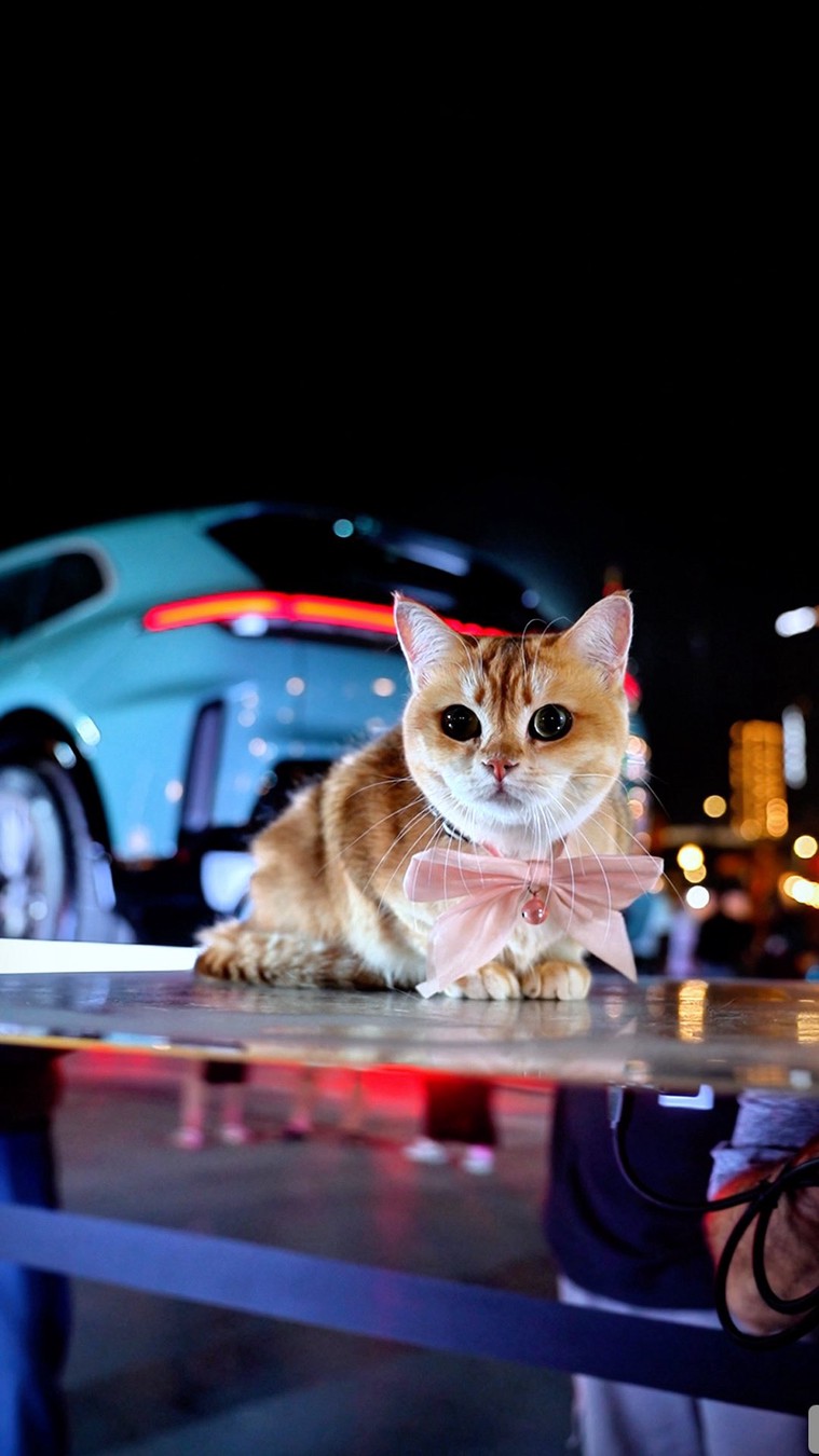 First track day of 2026! A90 Supra looking clean after a fresh detail. #jdm #trackday #supra